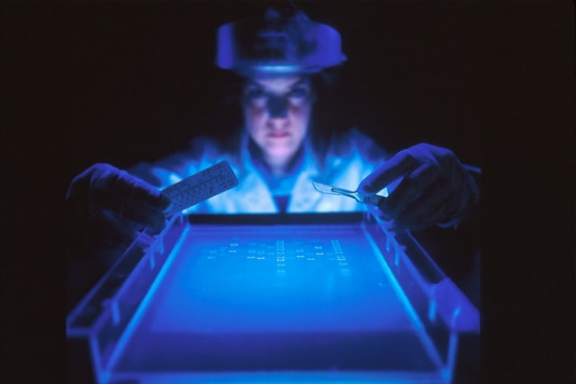 Photo of a dye marker on agarose gel used to separate DNA by a female scientist.