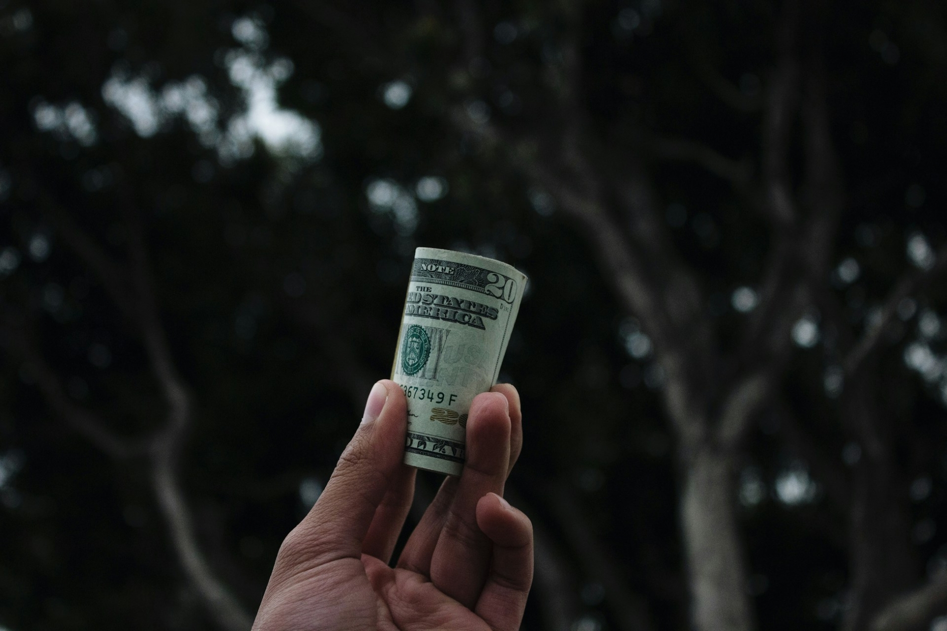closeup of a hand holding a roll of money