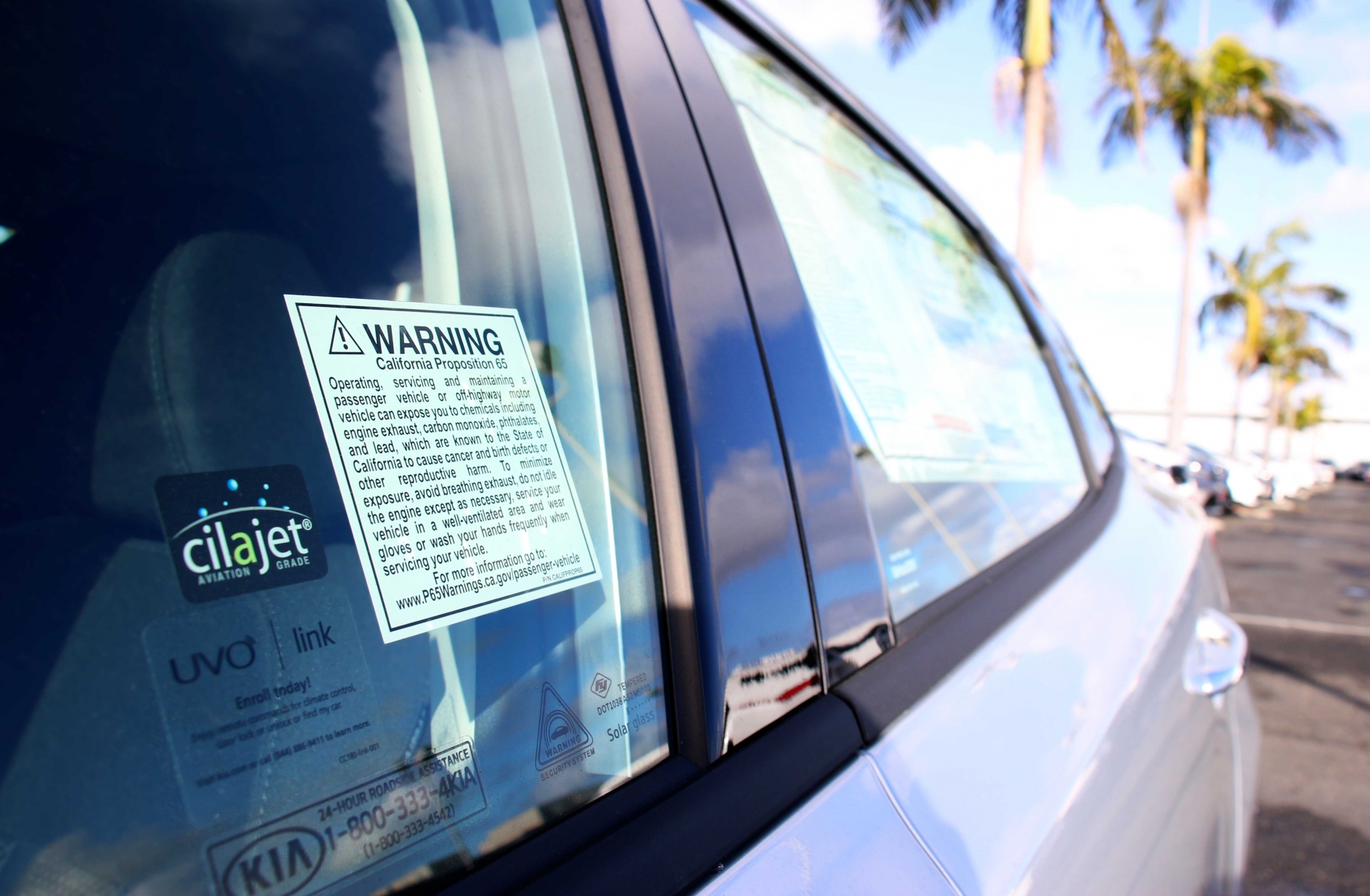 Prop-65 sticker on new car window