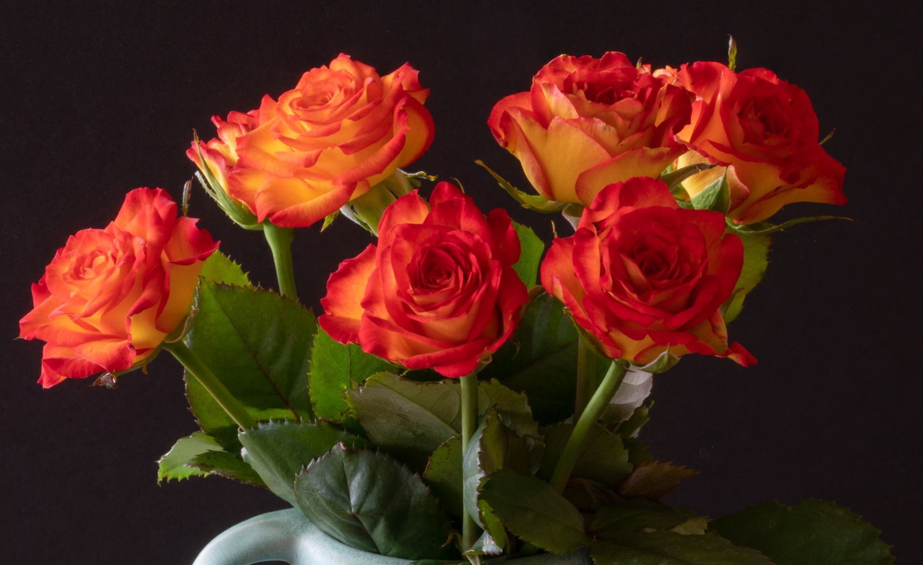 bouquet of six red roses.