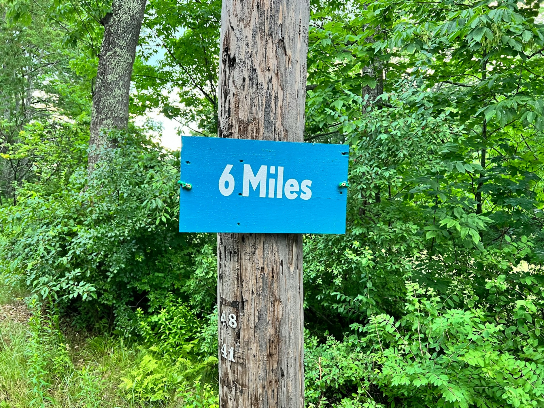 A blue sign that reads "6 miles", attached to a wooden pole, with green foliage in the background