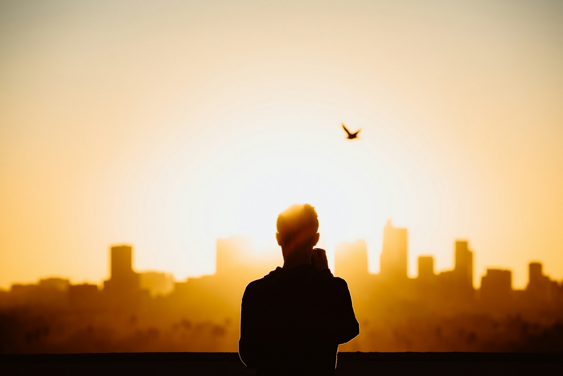 Photo of a person silhouetted against the sun rising over the Los Angeles skyline